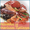 pescados y mariscos gallegos